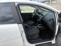 SEAT Altea 1.2 TSI 105CH STYLE COPA ECOMOTIVE Weiß - thumbnail 12