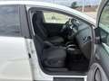 SEAT Altea 1.2 TSI 105CH STYLE COPA ECOMOTIVE Fehér - thumbnail 13