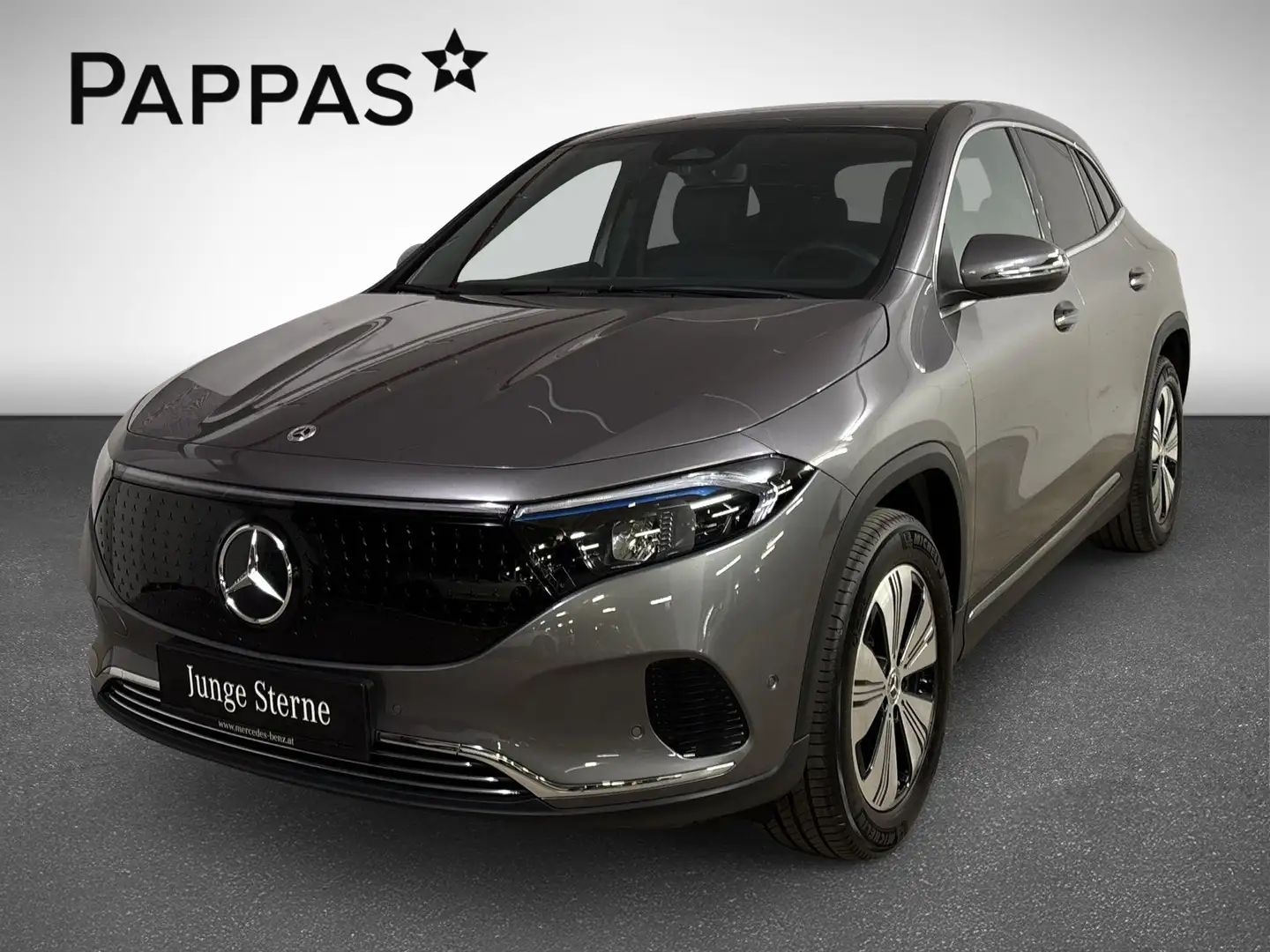 Mercedes-Benz EQA 250 + Österreich-Edition Wide LED Cam Navi Grijs - 2