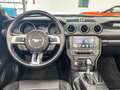 Ford Mustang Cabrio 2.3l EcoBoost Aut./Kamera/Leder/SZH Blau - thumbnail 12