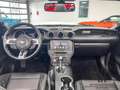Ford Mustang Cabrio 2.3l EcoBoost Aut./Kamera/Leder/SZH Blau - thumbnail 11