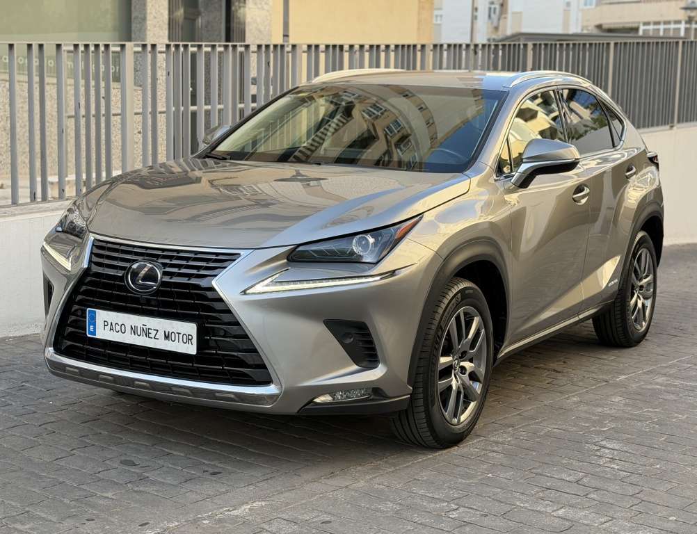 Lexus NX 300 300h Business Navigation 2WD - foto 1