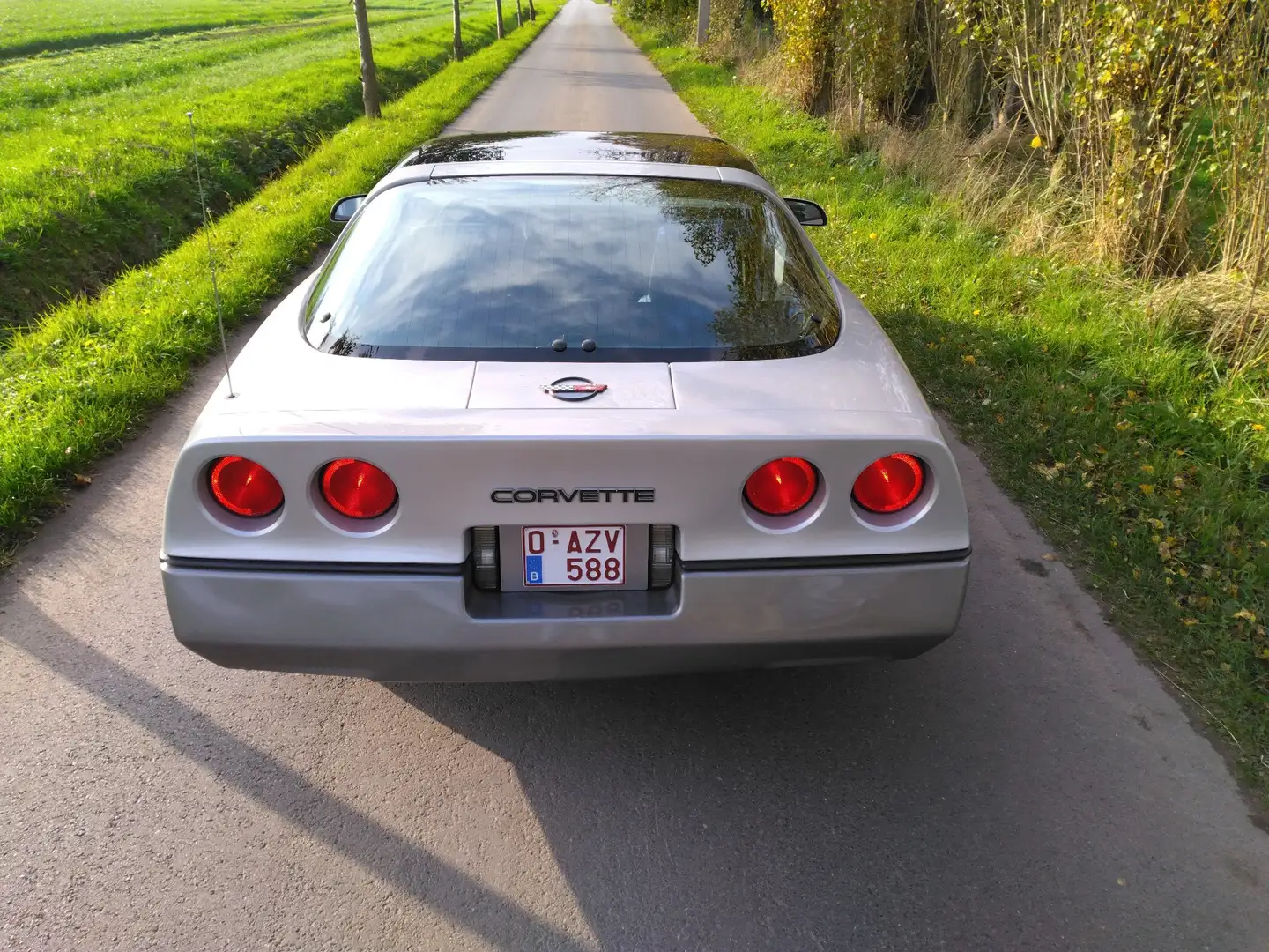Corvette C4 targa met slechts 9970 km Šedá - 2