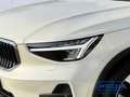 Volvo XC40 Plus Bright Recharge Plug-In Hybrid 2WD T4 Twin En Alb - thumbnail 5