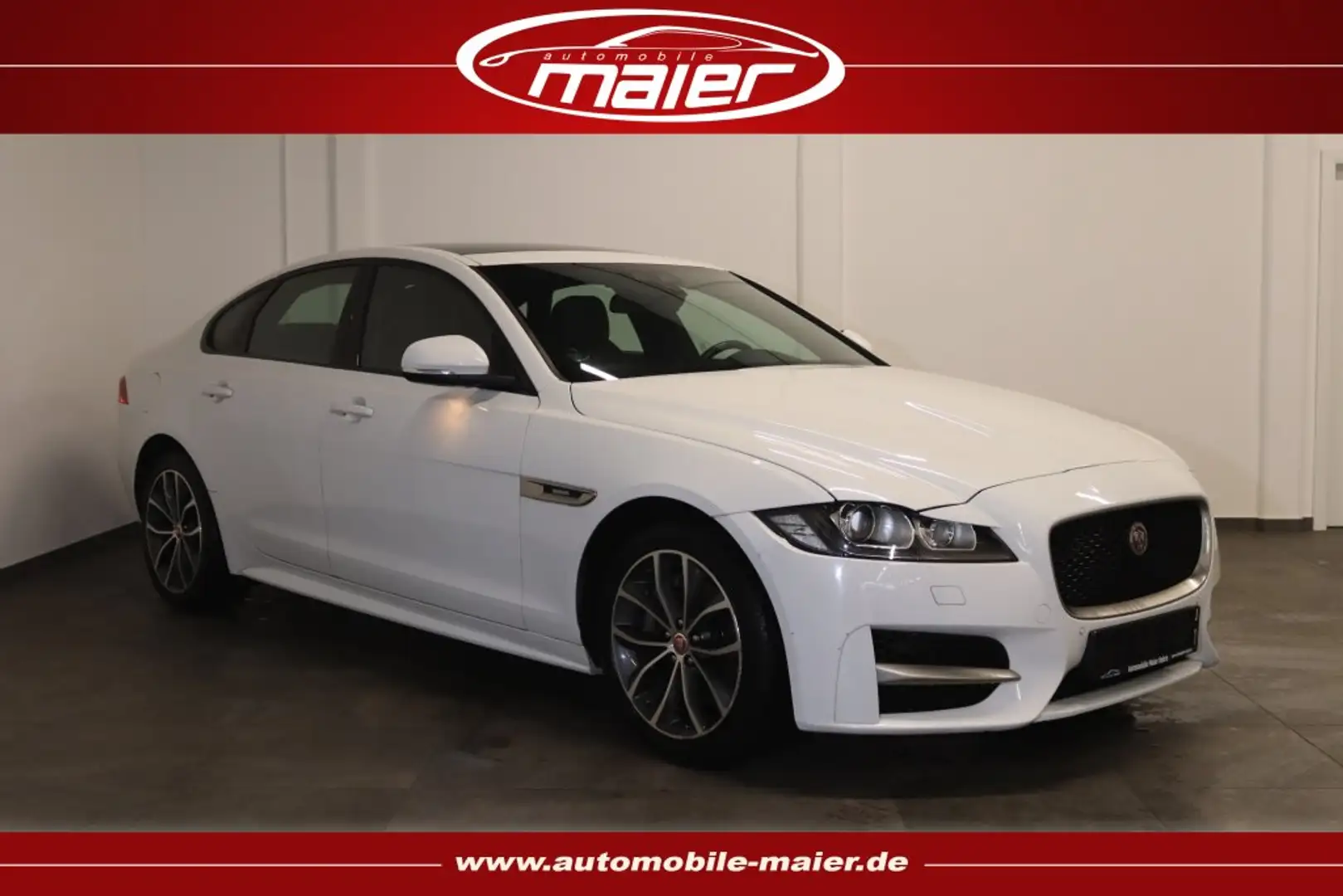 Jaguar XF R Sport-Navi-Xenon-Schiebedach-Leder-Kamera- White - 1