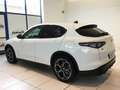 Alfa Romeo Stelvio 2.2 Turbodiesel 210 CV AT8 Q4 Veloce MY24 Nero - thumbnail 31