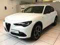 Alfa Romeo Stelvio 2.2 Turbodiesel 210 CV AT8 Q4 Veloce MY24 Nero - thumbnail 28