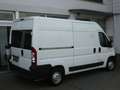Fiat Ducato 120 Kasten Bus 1.HD LKW-Zul AHK PDC TOP Weiß - thumbnail 2