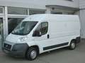 Fiat Ducato 120 Kasten Bus 1.HD LKW-Zul AHK PDC TOP Weiß - thumbnail 1