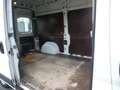 Fiat Ducato 120 Kasten Bus 1.HD LKW-Zul AHK PDC TOP Weiß - thumbnail 11