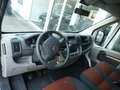 Fiat Ducato 120 Kasten Bus 1.HD LKW-Zul AHK PDC TOP Weiß - thumbnail 7