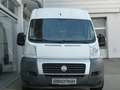 Fiat Ducato 120 Kasten Bus 1.HD LKW-Zul AHK PDC TOP Weiß - thumbnail 3