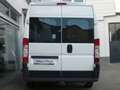 Fiat Ducato 120 Kasten Bus 1.HD LKW-Zul AHK PDC TOP Weiß - thumbnail 6