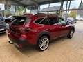 Subaru OUTBACK Outback Platinum Красный - thumbnail 5
