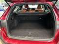 Subaru OUTBACK Outback Platinum Красный - thumbnail 12