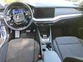 Skoda Octavia Combi Style 2.0 TDI DSG / Navi, AHK, LED Plateado - thumbnail 6