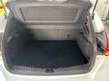 Ford Focus Lim. RS, 1.H. -TSZ, Kamera, RecaroS., SH Weiß - thumbnail 12