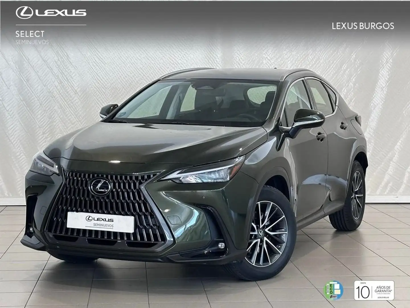 Lexus NX 350h Premium+ 4WD Grün - 1