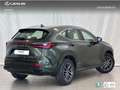 Lexus NX 350h Premium+ 4WD Grün - thumbnail 3