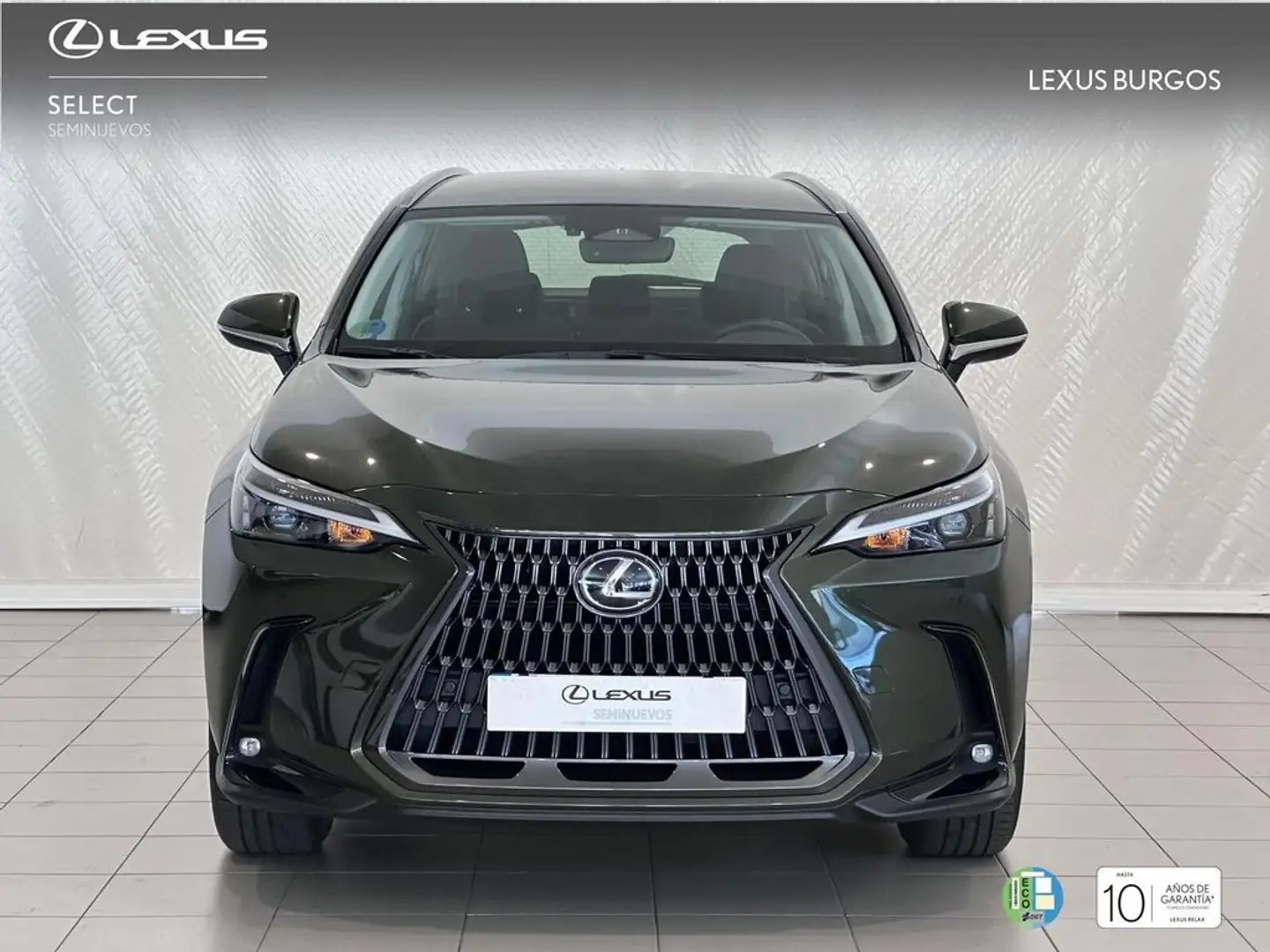 Lexus NX 350h Premium+ 4WD Grün - 2