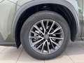 Lexus NX 350h Premium+ 4WD Grün - thumbnail 5
