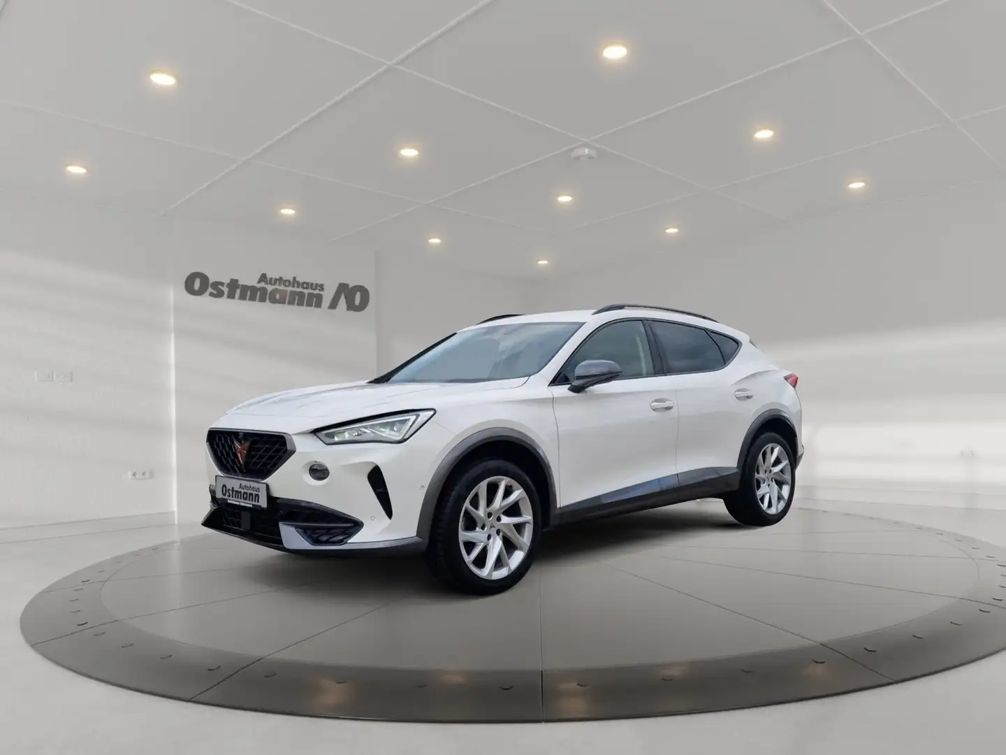 CUPRA Formentor 1.5 TSI 360 ACC AUT DynLicht KeyLess Weiß - 1