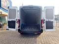 Toyota Proace City FORD TRANSIT 350 2.0 ECO HDI 170cv L2H2 E6 Bianco - thumbnail 8