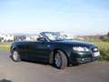 Audi A4 A4 Cabriolet 2.0 TDI DPF Grün - thumbnail 4