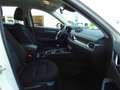 Mazda CX-5 2.0 SKYACTIV-G 165  Prime-Line 2WD Klimaanlage Alu White - thumbnail 10