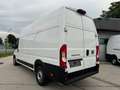 Fiat Ducato L4H3 KW 35 MAXI *Preis inkl. NoVA* (=CAMPER-Basis) Weiß - thumbnail 3