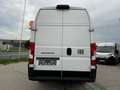Fiat Ducato L4H3 KW 35 MAXI *Preis inkl. NoVA* (=CAMPER-Basis) Weiß - thumbnail 4