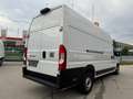 Fiat Ducato L4H3 KW 35 MAXI *Preis inkl. NoVA* (=CAMPER-Basis) Weiß - thumbnail 7
