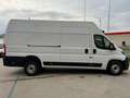 Fiat Ducato L4H3 KW 35 MAXI *Preis inkl. NoVA* (=CAMPER-Basis) Weiß - thumbnail 8