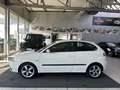 SEAT Ibiza 1.4l Sport Edition Klima Shz Alu TÜV+ÖLNEU Weiß - thumbnail 4