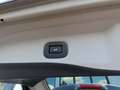Nissan X-Trail N-Connecta Autom. Panorama CarPlay 360° Grau - thumbnail 9