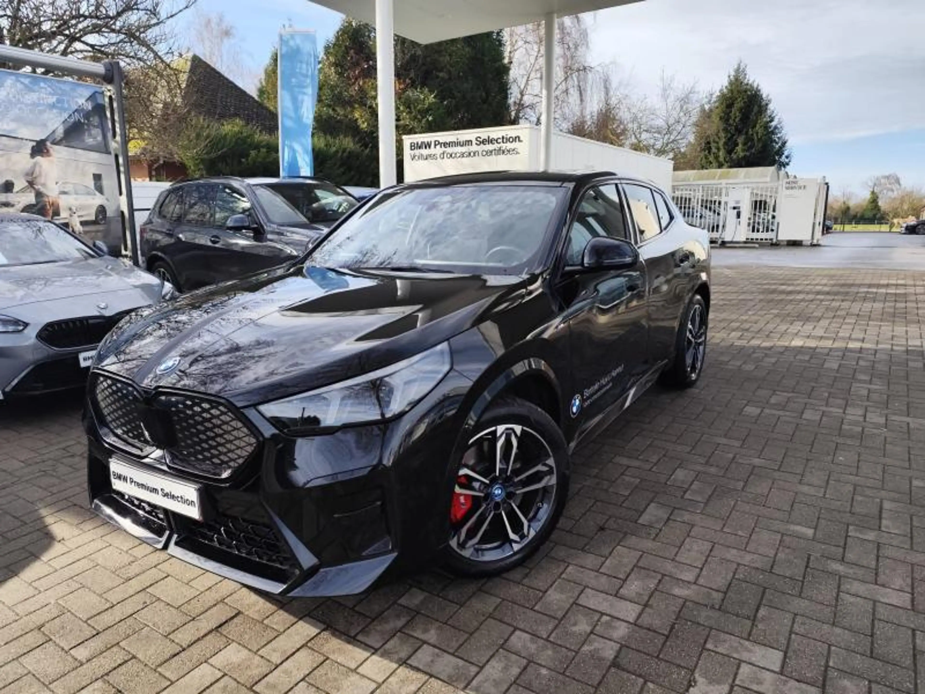 BMW iX2 20 Pack M Sport PRO Shadow *TVAC* — photo 9