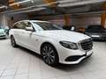 Mercedes-Benz E 300 de|SHZ|AHK|LED|PDC|Kamera|Navi|AppleCar Blanco - thumbnail 9