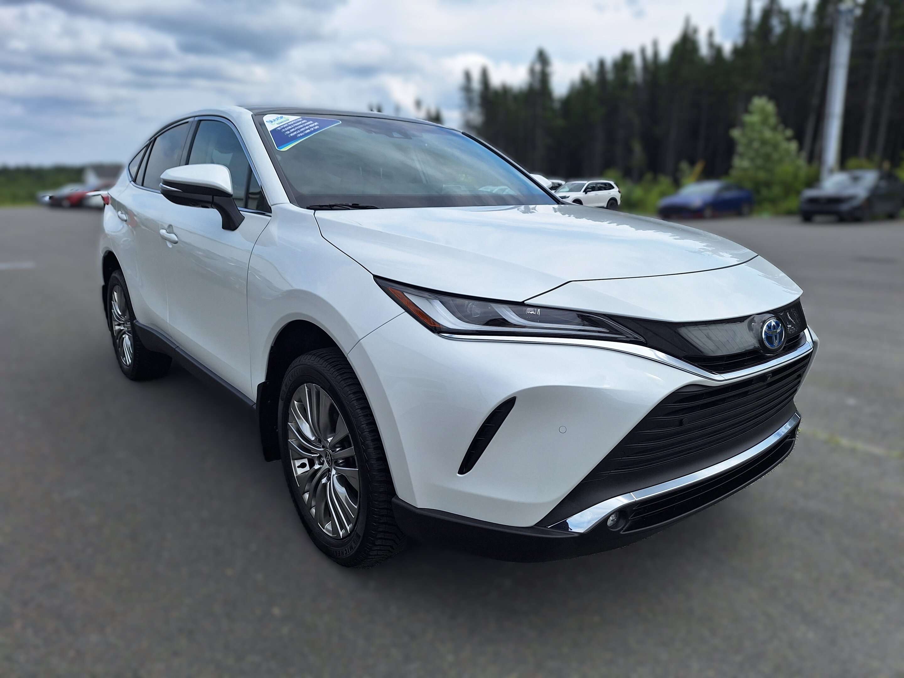 2024 Toyota Venza LE — photo 1