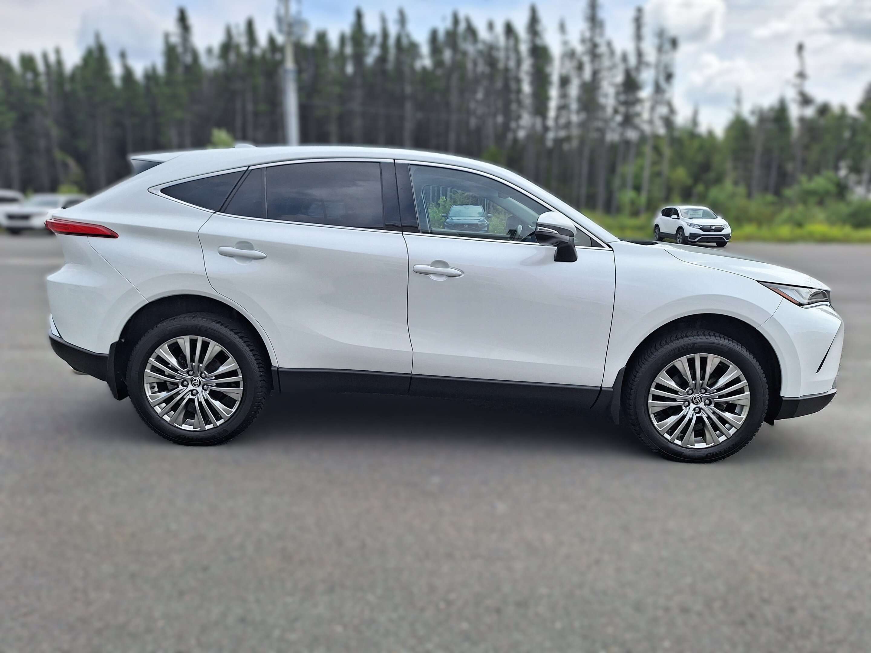 2024 Toyota Venza LE — photo 1