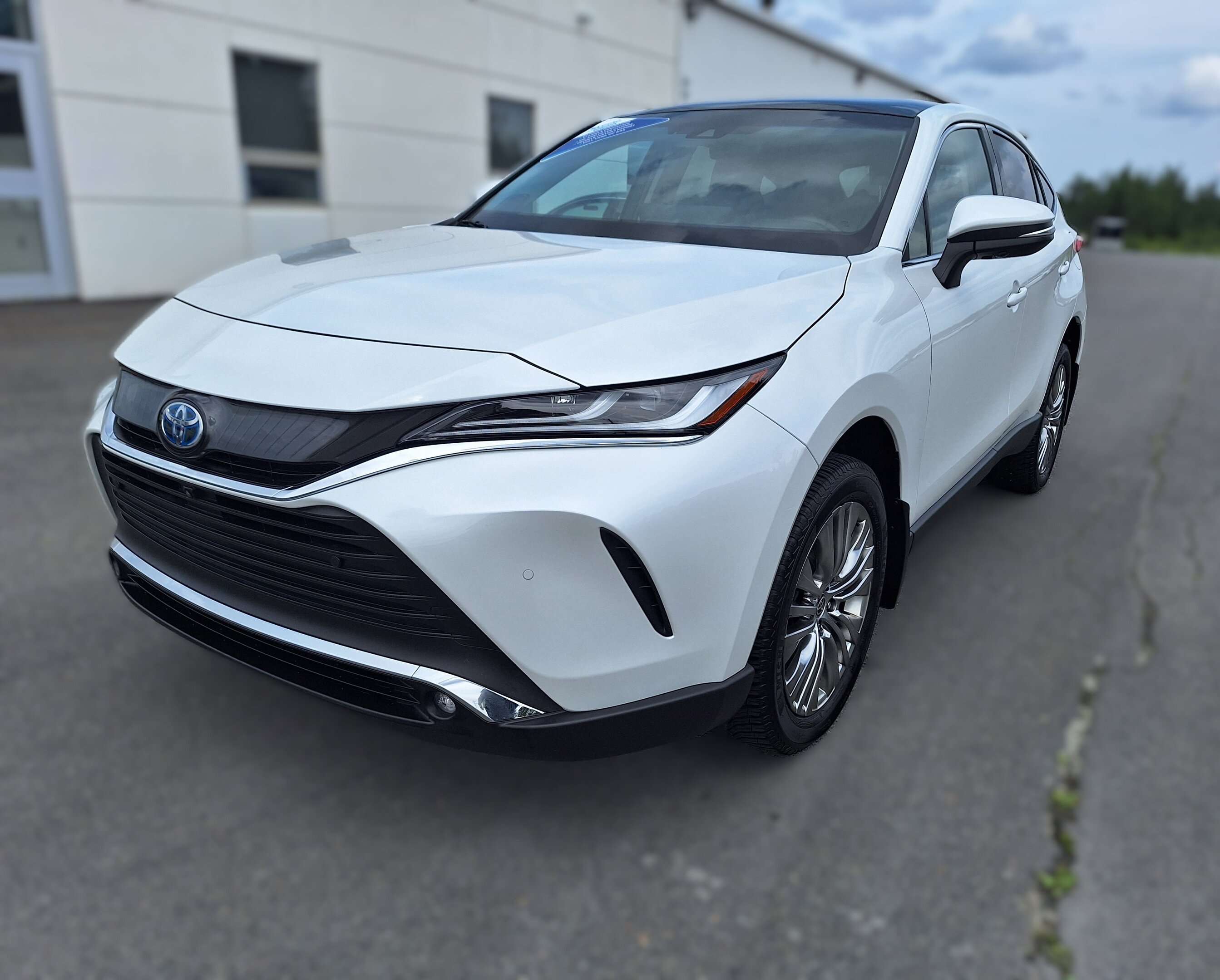 2024 Toyota Venza LE