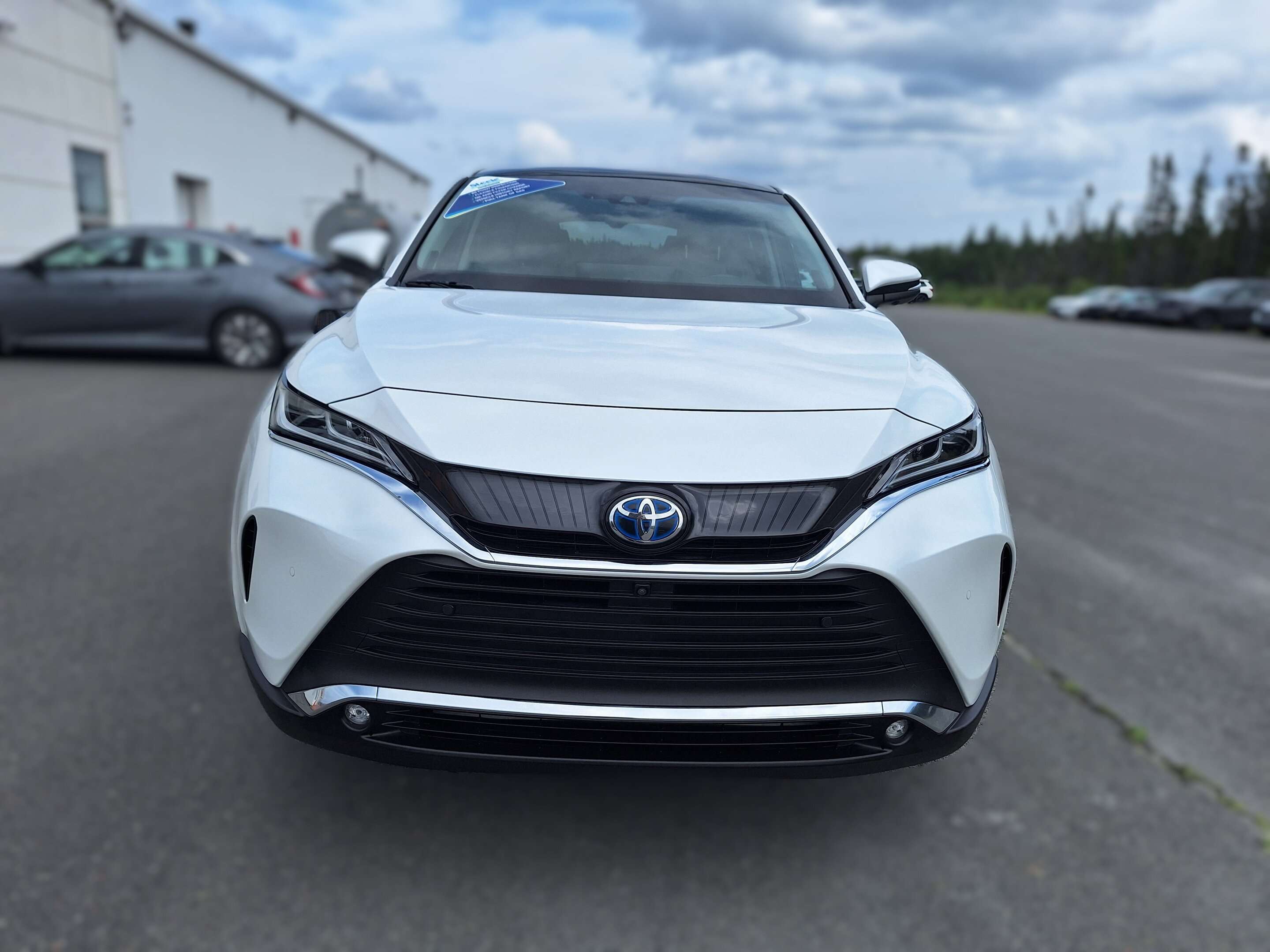 2024 Toyota Venza LE — photo 1