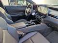 Lexus RX 450h + E-FOUR Executive Line ACC FLA HUD Grün - thumbnail 8