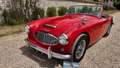 Austin-Healey 3000 bt7 de 1961 - thumbnail 21