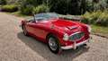 Austin-Healey 3000 bt7 de 1961 - thumbnail 8