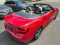 BMW 220 i Sport Line Cabrio Memory Melbournerot 58tkm Roşu - thumbnail 5