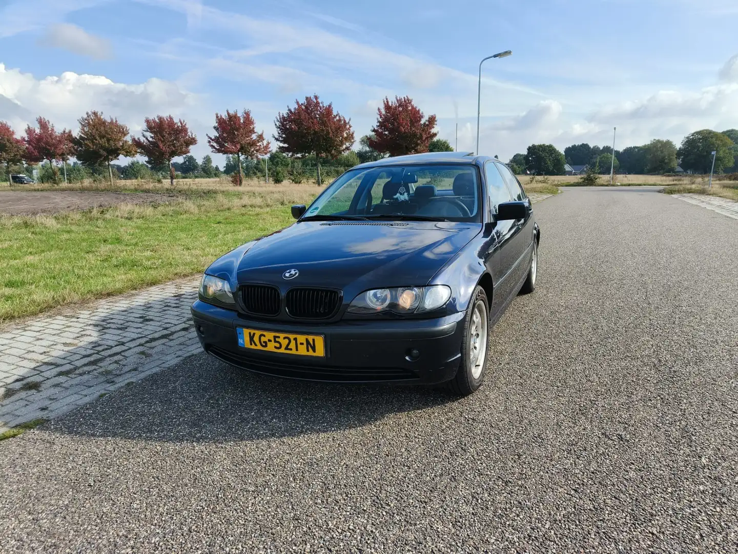 BMW 330 316i Executive Bleu - 2