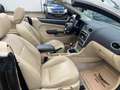 Ford Focus Cabrio TITANIUM 2.0 TDCi LEDER KLIMA PDC Braun - thumbnail 12