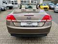 Ford Focus Cabrio TITANIUM 2.0 TDCi LEDER KLIMA PDC Braun - thumbnail 5