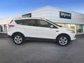 Ford Kuga 2.0TDCi Trend 4x4 150 - thumbnail 5