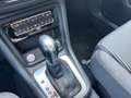 SEAT Alhambra 2.0 tdi cr Advance 150cv dsg Grau - thumbnail 9